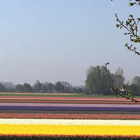Wellness Ruigenhoek 13a - Sauna, Jacuzzi ! Feriehus De Zilk