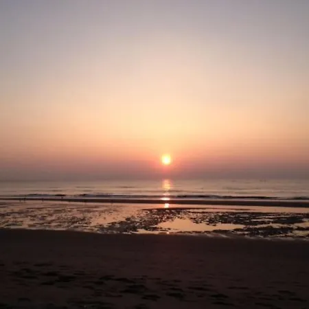 Wellness Ruigenhoek 13a - Sauna, Jacuzzi ! 別荘