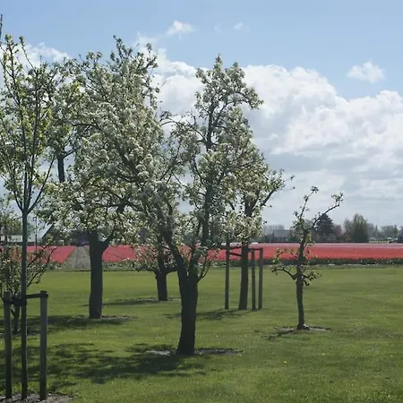 Feriehus Wellness Ruigenhoek 13a - Sauna, Jacuzzi ! De Zilk