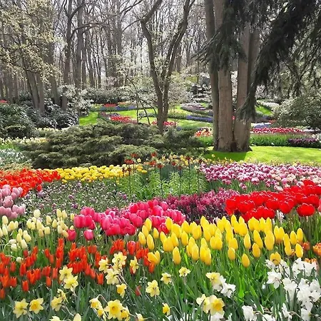 Wellness Ruigenhoek 13a - Sauna, Jacuzzi ! *