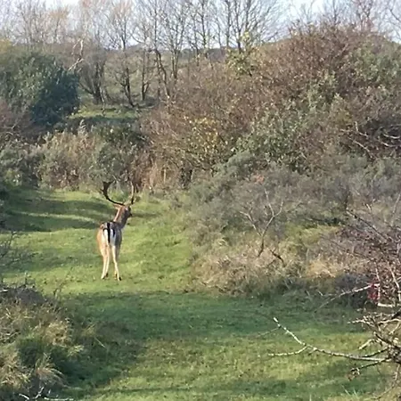 Wellness Ruigenhoek 13a - Sauna, Jacuzzi !