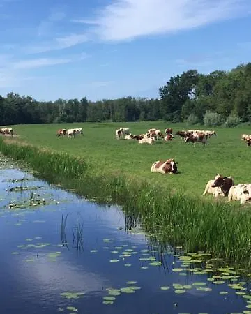 Wellness Ruigenhoek 13a - Sauna, Jacuzzi ! * De Zilk