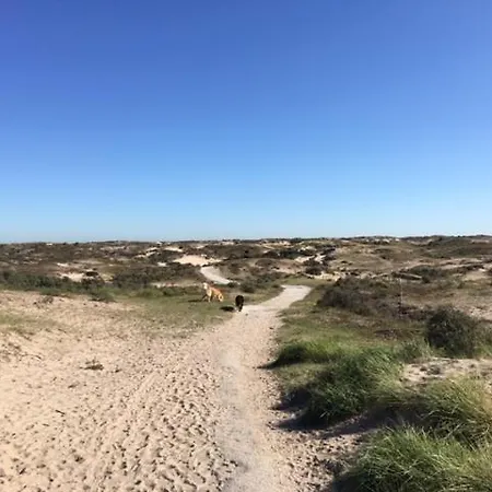 別荘 Wellness Ruigenhoek 13a - Sauna, Jacuzzi !