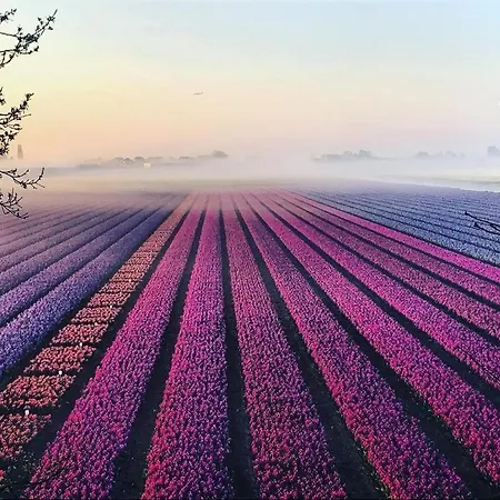 Wellness Ruigenhoek 13a - Sauna, Jacuzzi ! 別荘 *