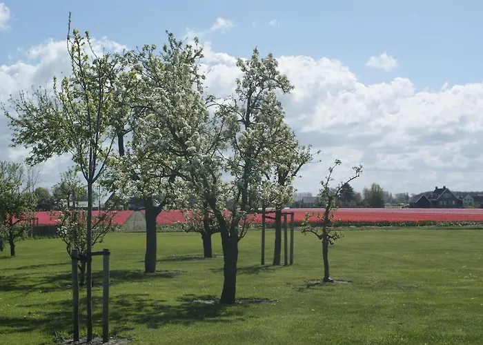 Дом отдыха Wellness Ruigenhoek 13a - Sauna, Jacuzzi ! De Zilk