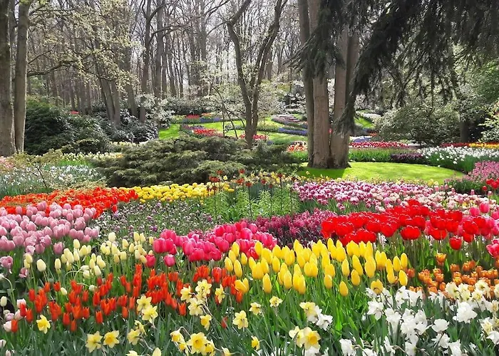 Wellness Ruigenhoek 13a - Sauna, Jacuzzi ! *