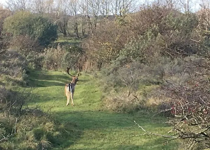 Wellness Ruigenhoek 13a - Sauna, Jacuzzi !