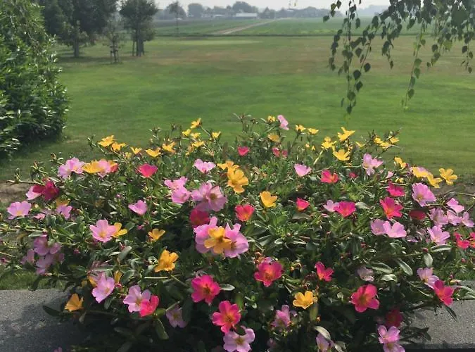 Wellness Ruigenhoek 13a - Sauna, Jacuzzi !