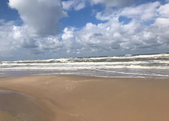 Ferienhaus Wellness Ruigenhoek 13a - Sauna, Jacuzzi ! *