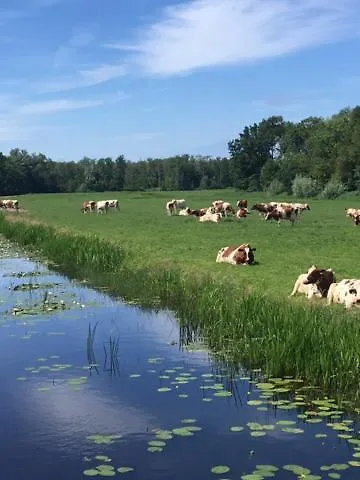 Wellness Ruigenhoek 13a - Sauna, Jacuzzi ! * De Zilk