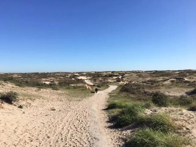 Ferienhaus Wellness Ruigenhoek 13a - Sauna, Jacuzzi !