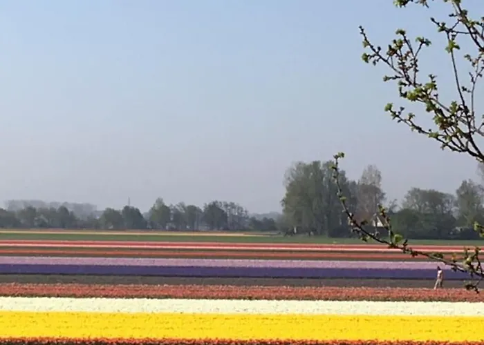 Wellness Ruigenhoek 13a - Sauna, Jacuzzi ! 펜션 De Zilk