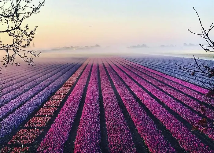 Wellness Ruigenhoek 13a - Sauna, Jacuzzi ! 펜션 *